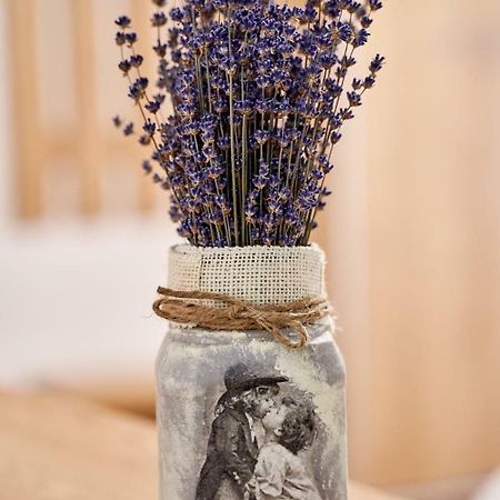 Lavand House Vişeu de Sus Екстериор снимка