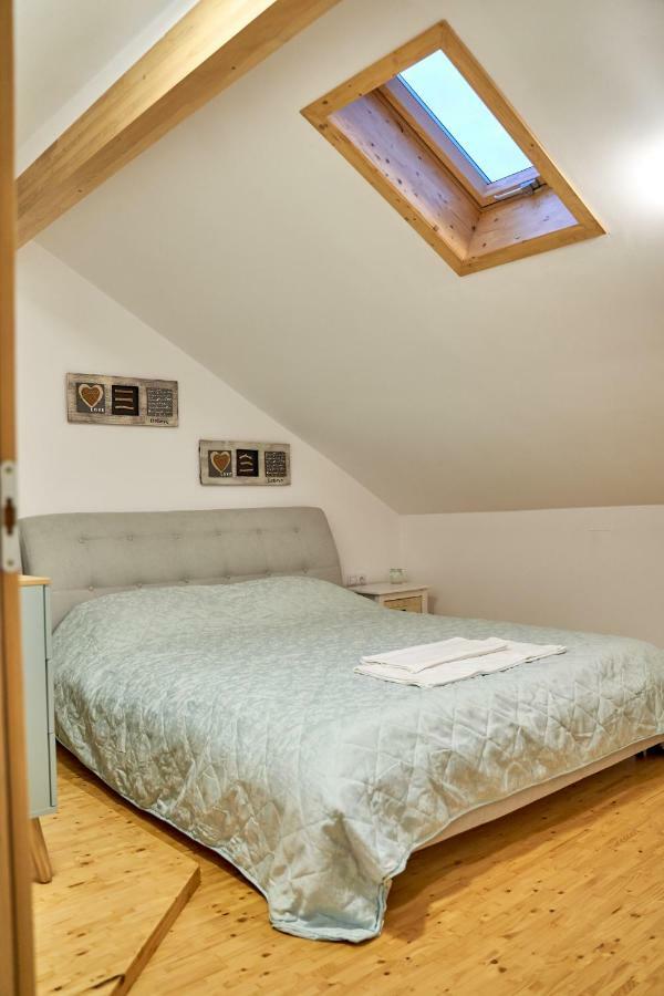 Lavand House Vişeu de Sus Екстериор снимка