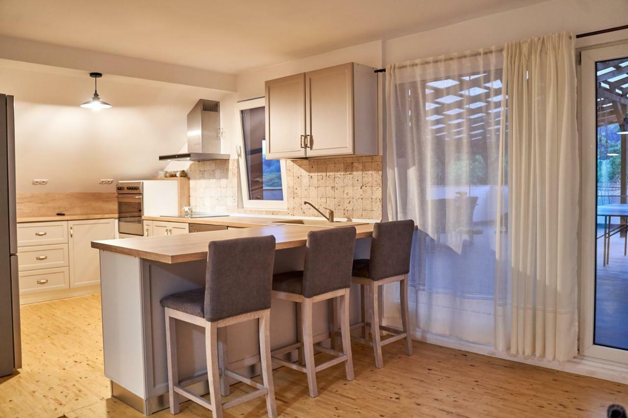 Lavand House Vişeu de Sus Екстериор снимка