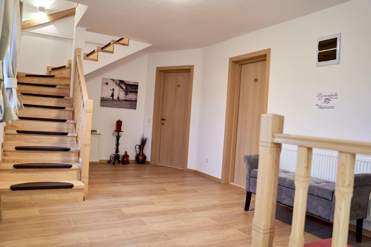 Lavand House Vişeu de Sus Екстериор снимка
