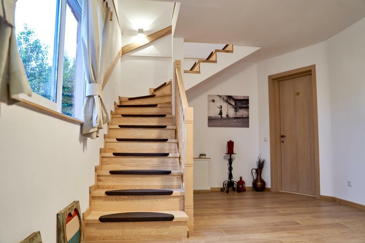 Lavand House Vişeu de Sus Екстериор снимка
