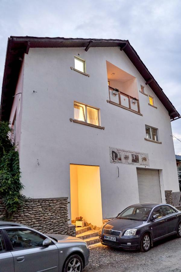 Lavand House Vişeu de Sus Екстериор снимка