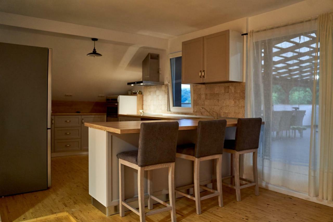 Lavand House Vişeu de Sus Екстериор снимка