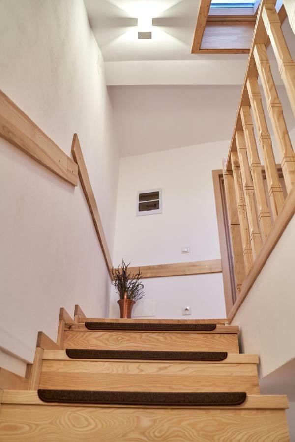 Lavand House Vişeu de Sus Екстериор снимка