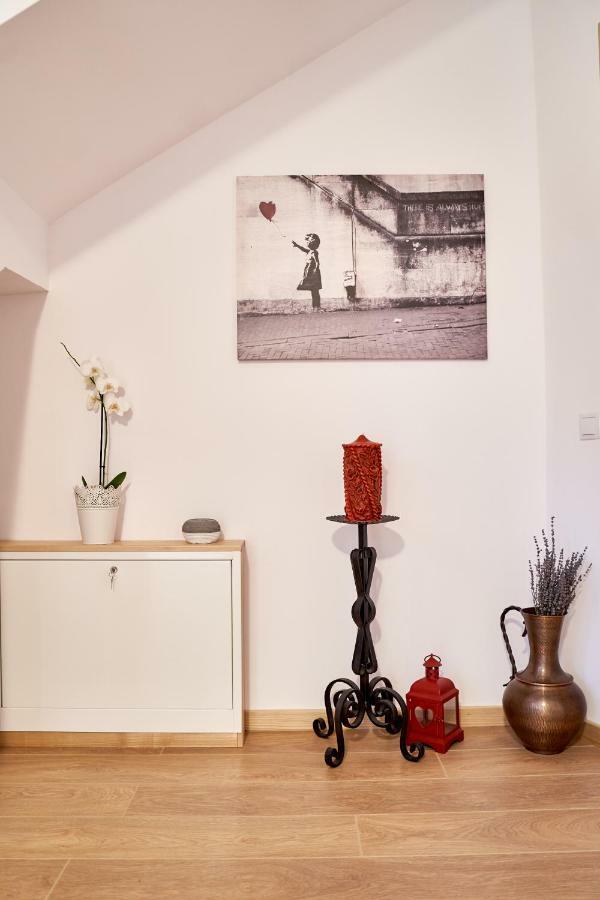 Lavand House Vişeu de Sus Екстериор снимка