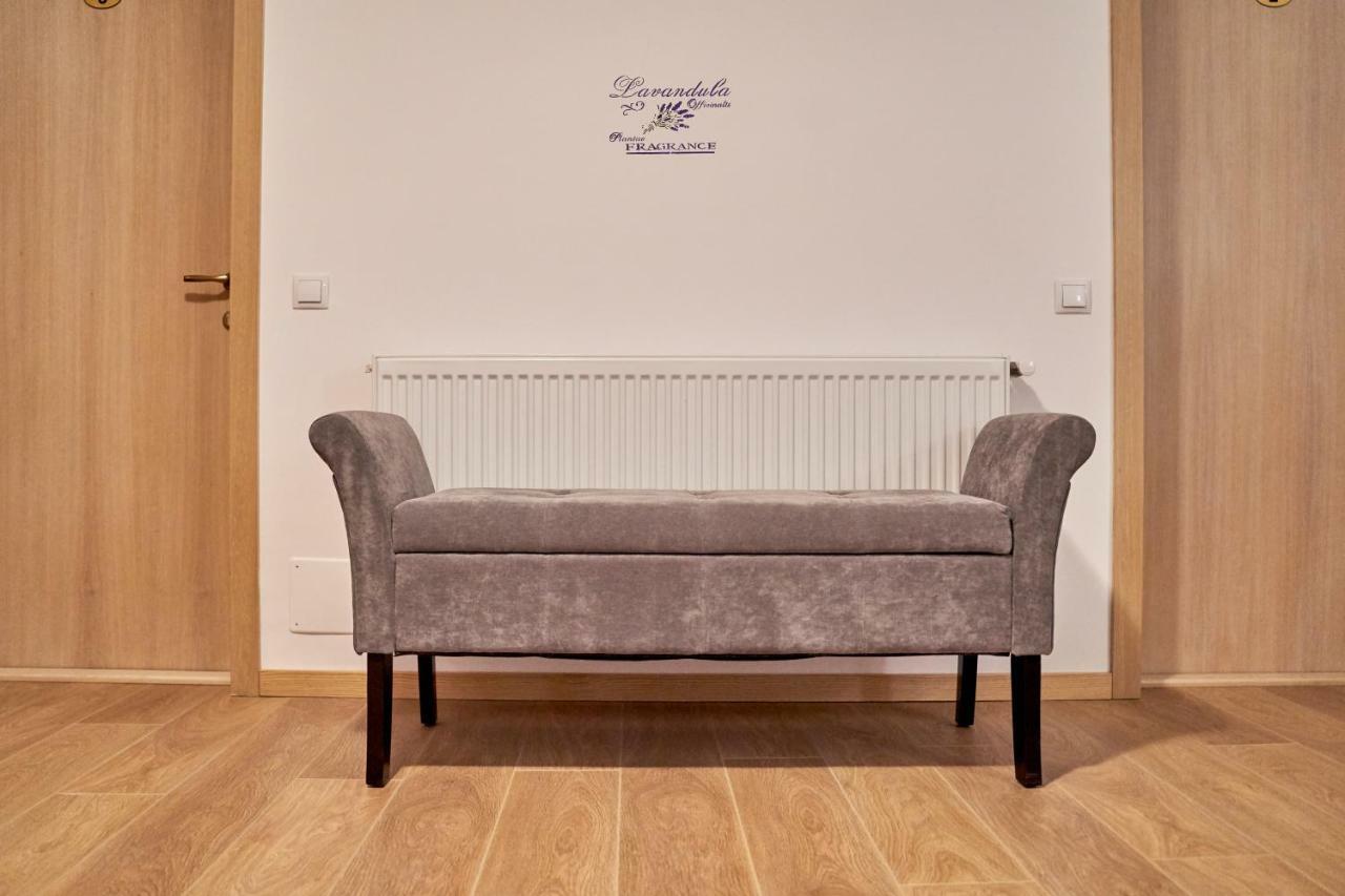 Lavand House Vişeu de Sus Екстериор снимка