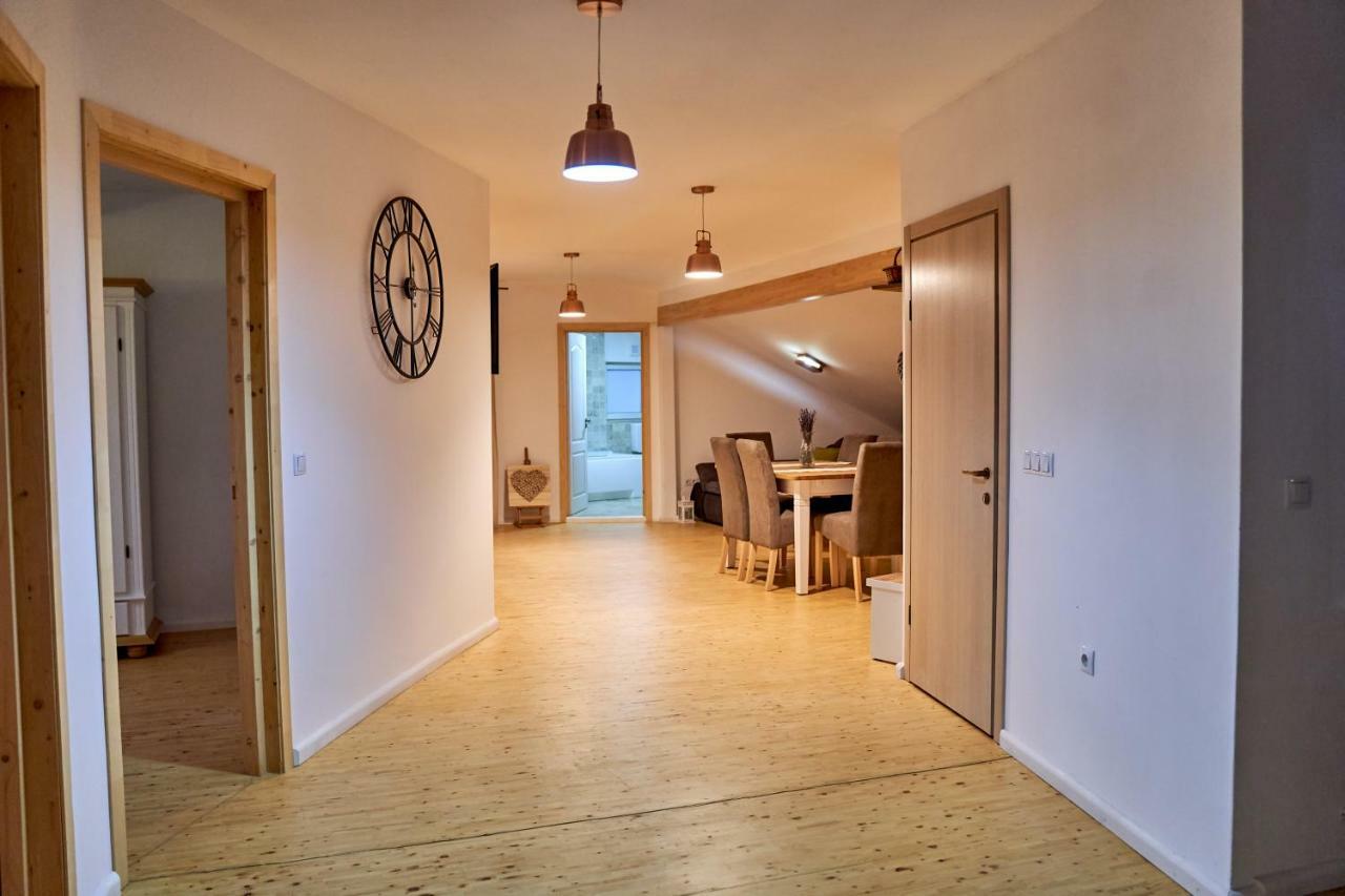 Lavand House Vişeu de Sus Екстериор снимка